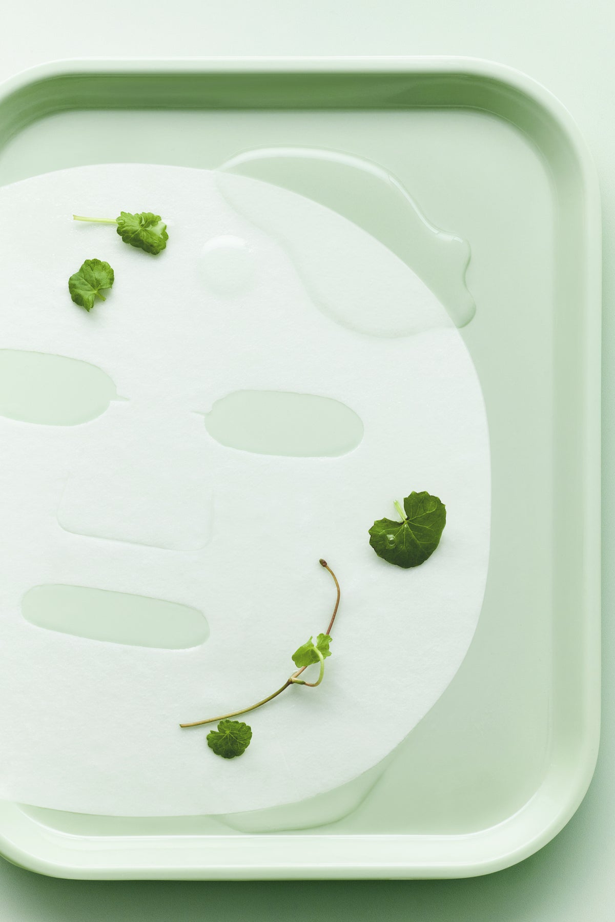 a sheet mask with leaves on it
